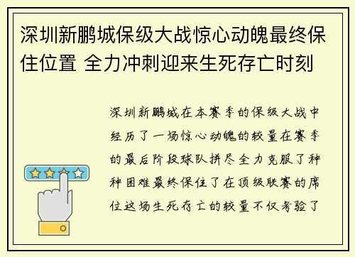 深圳新鹏城保级大战惊心动魄最终保住位置 全力冲刺迎来生死存亡时刻 深圳新鹏城保级大战惊心动魄最终保住位置 全力冲刺迎来生死存亡时刻